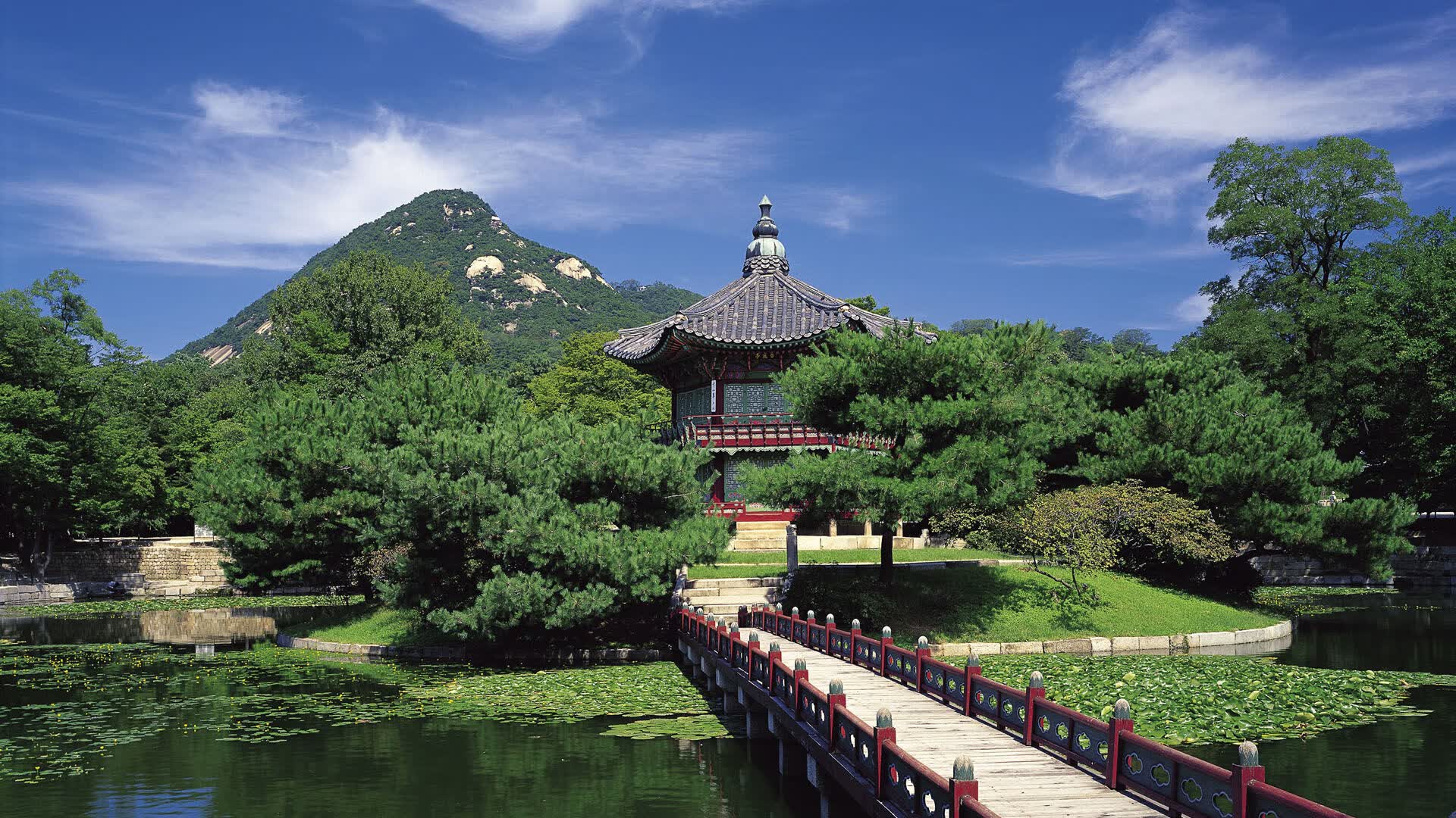 世界短跑邀请赛:恢复科技帮助选手保持巅峰,世界短跑冠军视频
